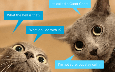 When is the last time you looked at a Gantt Chart?